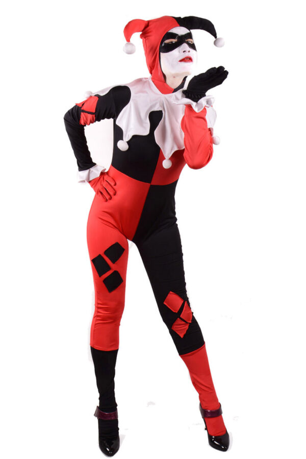 Harley Quinn Jester Outfit Costume – NalaGila